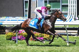 Miss Icelandic, Caulfield Feb 2024 Miss Icelandic, Caulfield Feb 2024